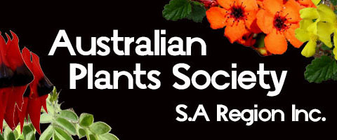 Australian Plants Society | SA Region Inc.